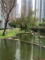park-infinia-at-wee-nam photo thumbnail #3